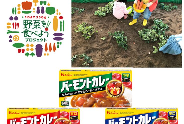 カレーの野菜堀